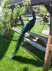 20150508_143212