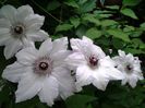 20150507_083142