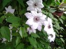 20150507_083136