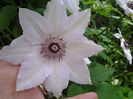 20150507_120231