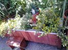 20150508_113145