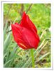 DSCF0320