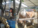 DSCN1152