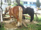 DSCN1154