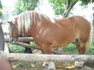 DSCN1156
