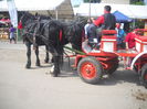 DSCN1191