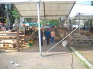 DSCN1193