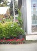 DSCN1198