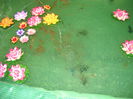DSCN1227