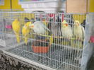 DSCN1229