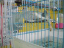 DSCN1232