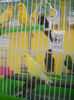 DSCN1233