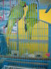DSCN1235