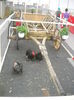 DSCN1236