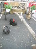 DSCN1237