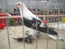 DSCN1264