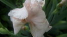 IMG_20150508_175335