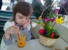 IMG_20150404_121520