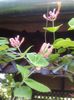 20150509_151750
