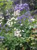 20150509_152606