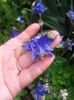 20150509_152649