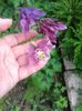 20150509_152659