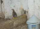 DSCN0351