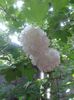 20150509_155939