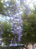 20150509_182500