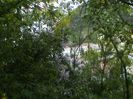The wild zone!