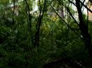 The wild zone!