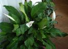 in interior (3)