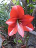 DSC03660
