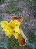 DSC03667