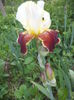 DSC03670