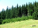 DSCF1720_01