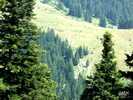 DSCF1728_01