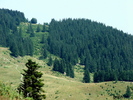 DSCF1776_01