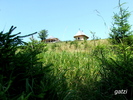 DSCF1789_01