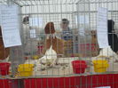 P1060021