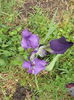 DSCF3717