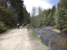 In urma vacilor-4