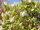 P1230168
