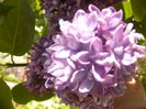 P1230175