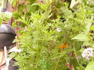 P1230193