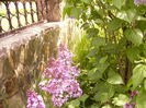 P1230203