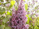 P1230207