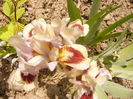 P1230243