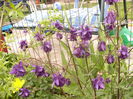 P1230246
