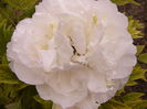 P1230252